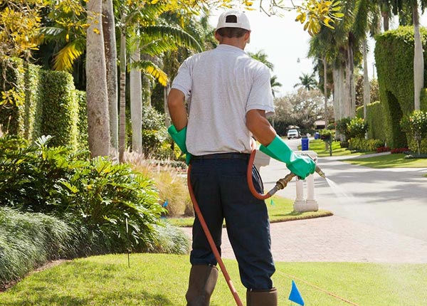 About Andover KS Pest Control